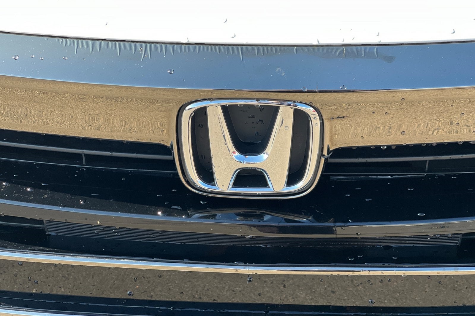 2022 Honda Accord Sport 2.0T